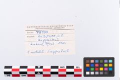Foto von Bronzelappenbeil (NHMW-PRAE-078100)